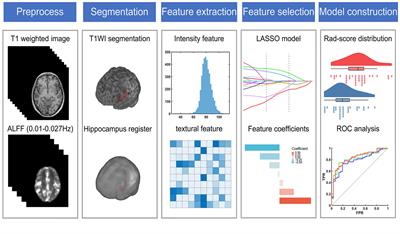 Textural features reflecting local activity of the hippocampus improve the diagnosis of Alzheimer’s disease and amnestic mild cognitive impairment: A radiomics study based on functional magnetic resonance imaging